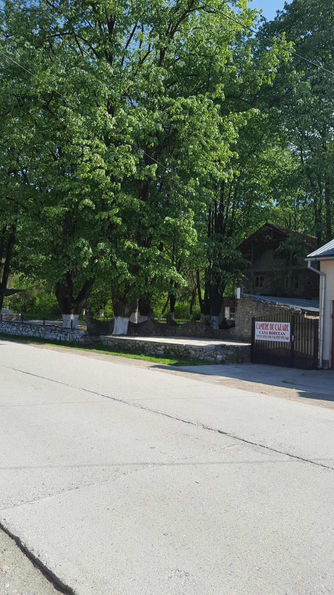 Villa Casa Borcean Sasca Montană Exterior foto